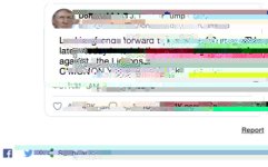 trump Tweet.jpg