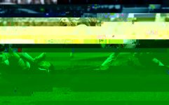 Pintado Savage.jpg Pintado Savage.jpg