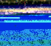 Shelvey off.jpg Shelvey off.jpg