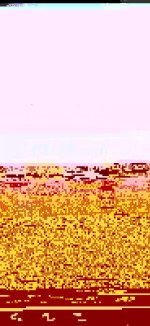 IMG-20220912-WA0001.jpg