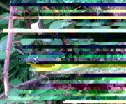 8FCEDEB4-40E2-4BD2-A389-1359E78E61B9.jpeg