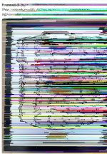 IMG_2155.jpeg