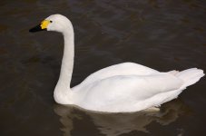 8305971A-63D2-4AF8-861F-435F322474CC.jpeg