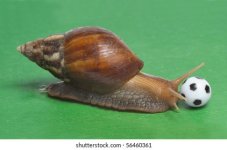 big-snail-playing-soccer-260nw-56460361.jpg