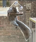 IMG_6795.jpeg