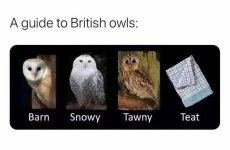 IMG_4064.jpeg