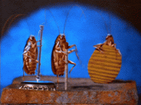 heunERpW6lMoorHNW7QoFGrKEWCwVoxmOSQ7VQaLP1g.gif