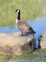 IMG_6763.jpeg