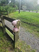 IMG_3892.jpeg