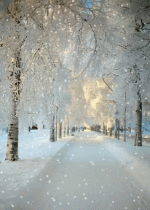 1fa425fa9bcd5f6a8407026268e566b2.gif
