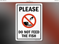 IMG_0131.png
