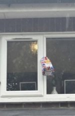 IMG_4970.jpeg