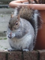 IMG_5050.jpeg