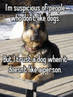 1762164420023.png 1762164420023.png