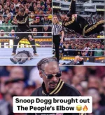 1000006654.webp 1000006654.webp