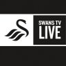 Avatar of Swans TV